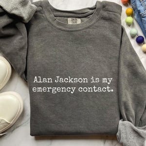Karen Read Lawyers Sweatshirt, True Crime Trial Sweater, Alan Jackson Defense Lawyer Sweater, Emergency Contact Comfort Colors 1566