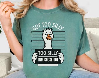 Shirt gekke gans, shirt gekregen te gekke gans, grappig gevangenisshirt, trendy meme-shirt, gansshirt, ganscadeau, grappige gans, cadeau gansliefhebber