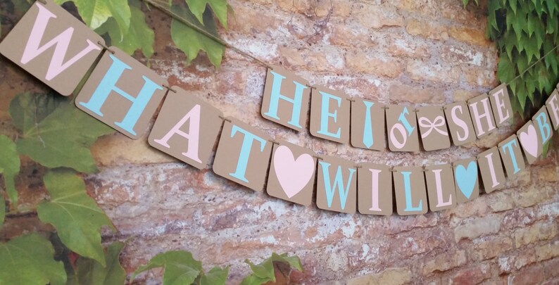 Alternating Pink And Blue Letters He Or She What Will It Be Sign Jute Twine Petite Gender Reveal He Or She What Will It Be Banner Banners Signs Party Decor Deshpandefoundationindia Org