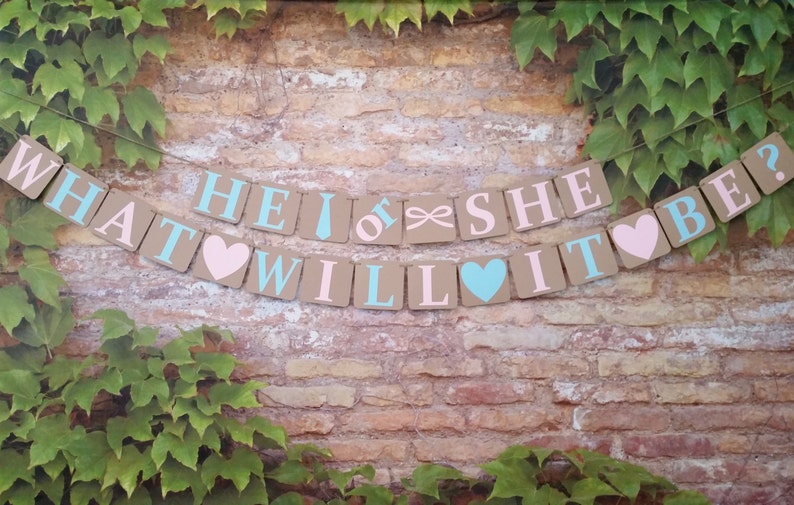 Alternating Pink And Blue Letters He Or She What Will It Be Sign Jute Twine Petite Gender Reveal He Or She What Will It Be Banner Banners Signs Party Decor Deshpandefoundationindia Org