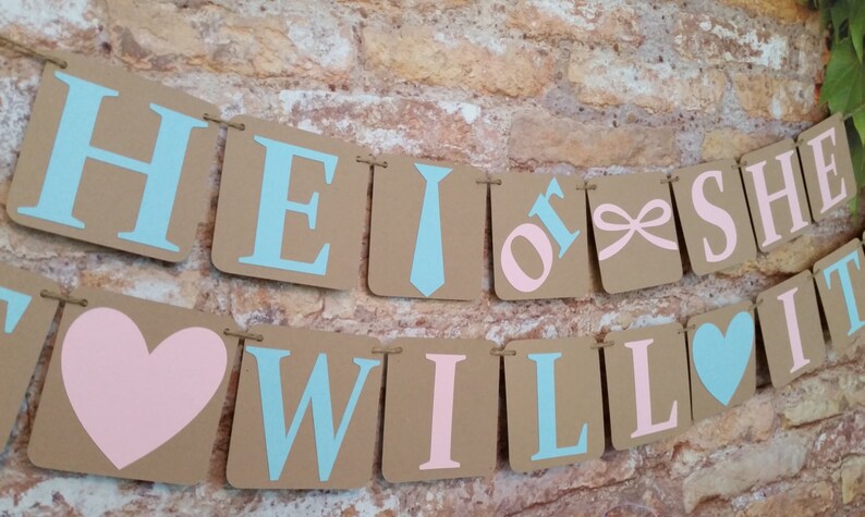 Alternating Pink And Blue Letters He Or She What Will It Be Sign Jute Twine Petite Gender Reveal He Or She What Will It Be Banner Banners Signs Party Decor Deshpandefoundationindia Org