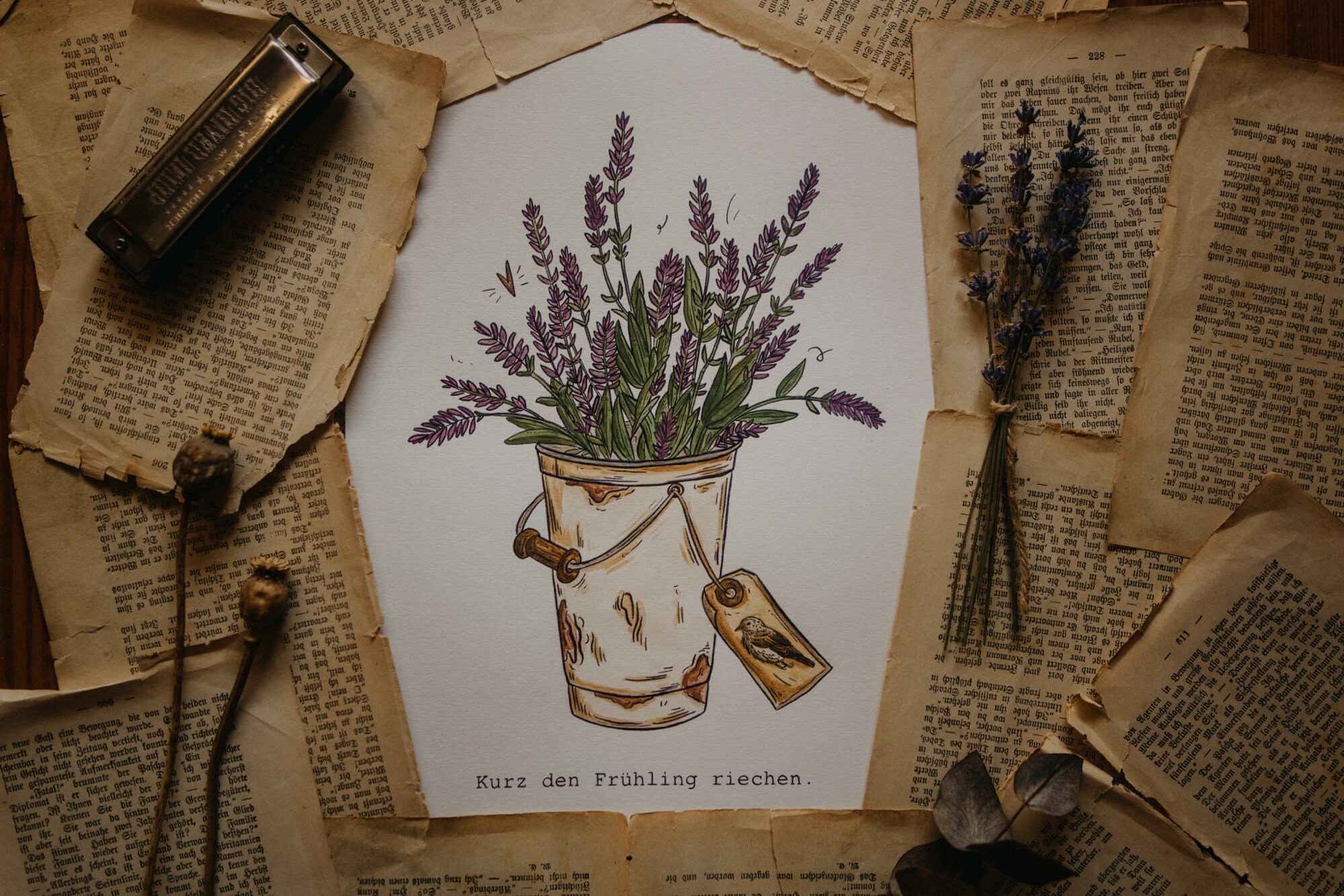 Aromatherapie Badebombe - Lavendel & Majoran