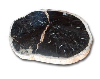 Petrified wood slab with custom made base PF-1106