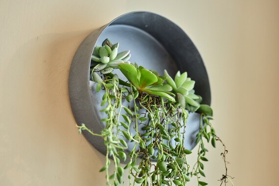 Indoor Outdoor Wall Planters Full Circle Small Zinc Outdoor Wall Planters Full Circle Small, Outdoor Garden Planters