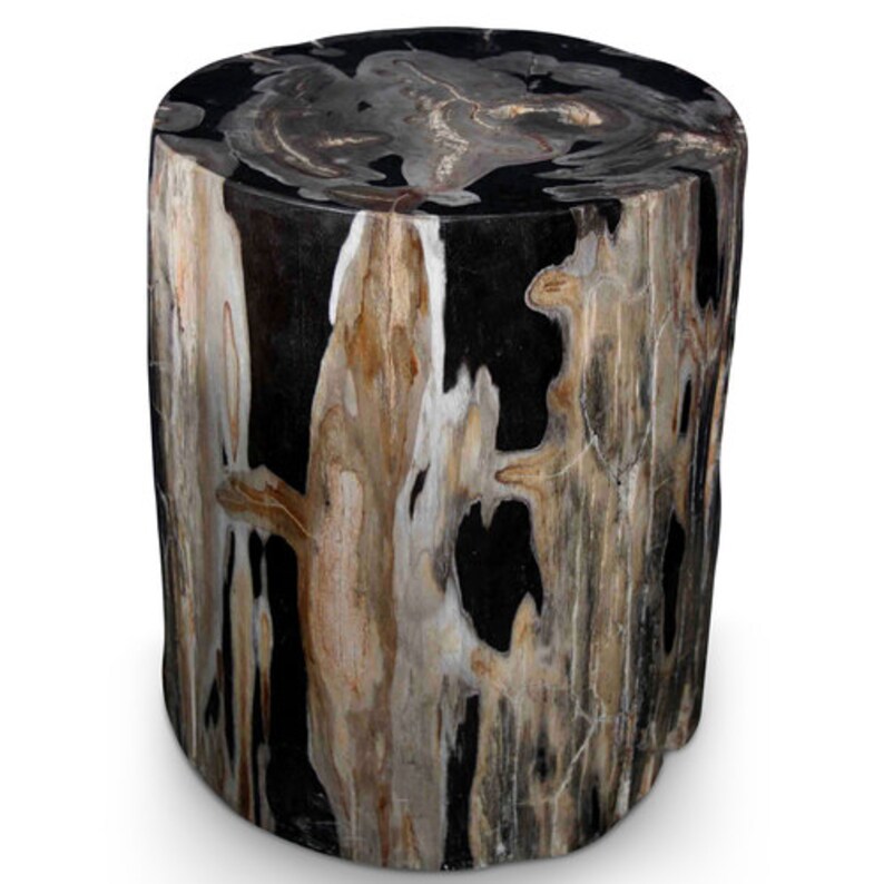 Custom Petrified Wood Coffee Table image 0