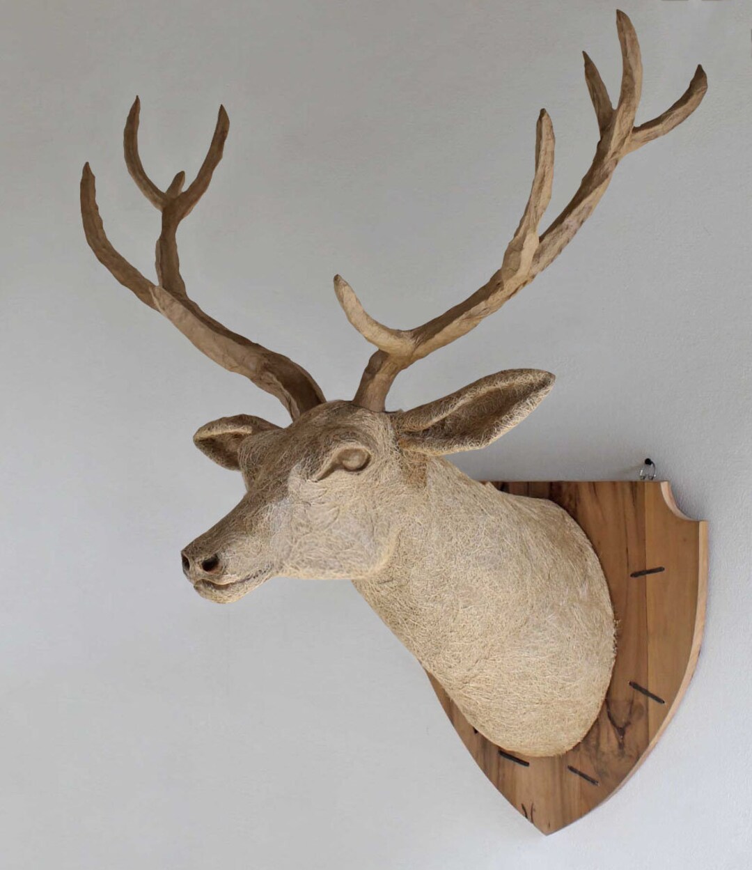 Driftwood Deer Head With Antlers, Wall Trophy Stag Head Wall Mount