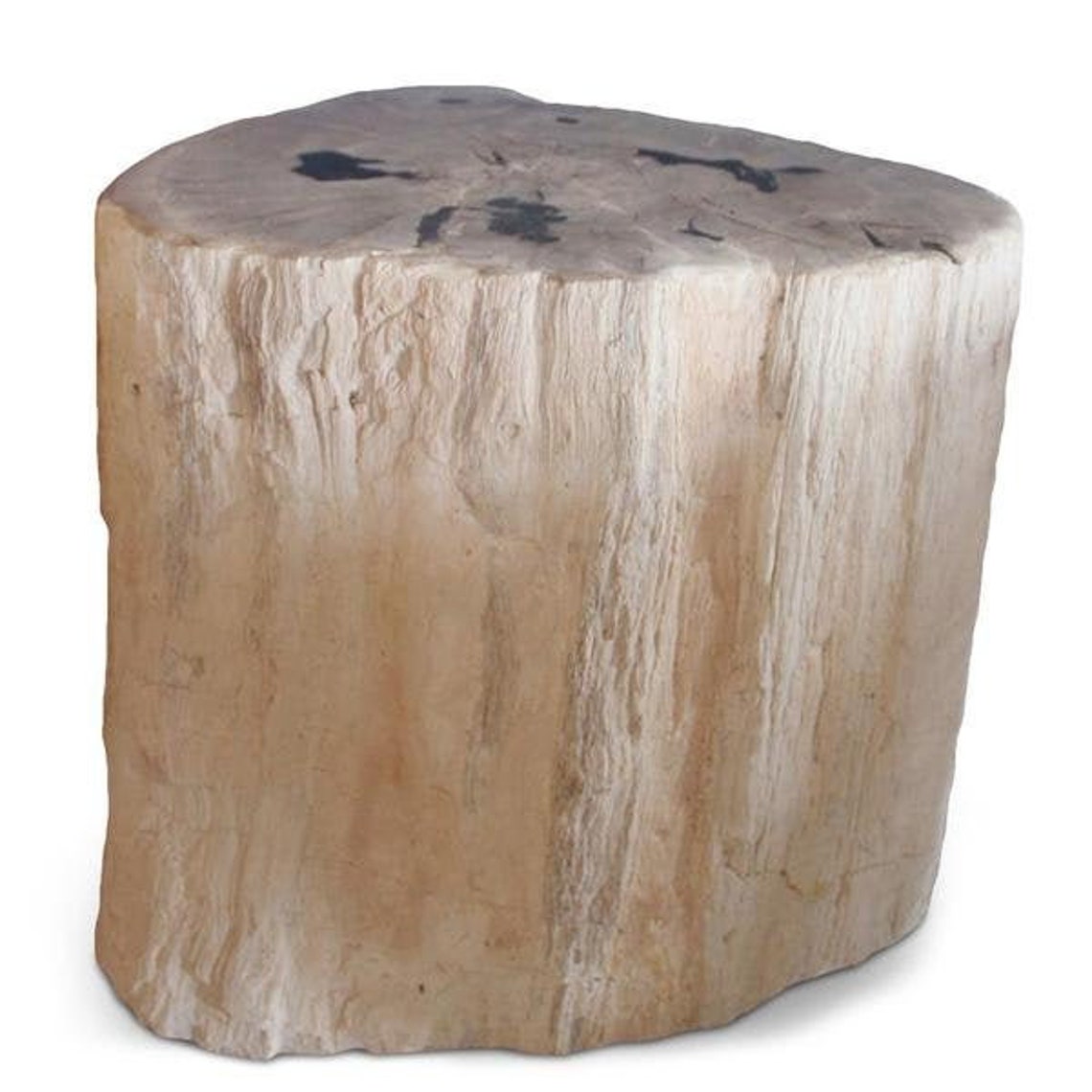 Petrified Wood Stool Petrified Wood Side Table and a Etsy
