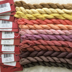 May include: A collection of 10 skeins of Caron Collection embroidery floss in shades of brown, orange, pink, yellow, and beige. The floss is arranged in a gradient from dark brown to light beige. Each skein has a label with the color number and dye lot number.