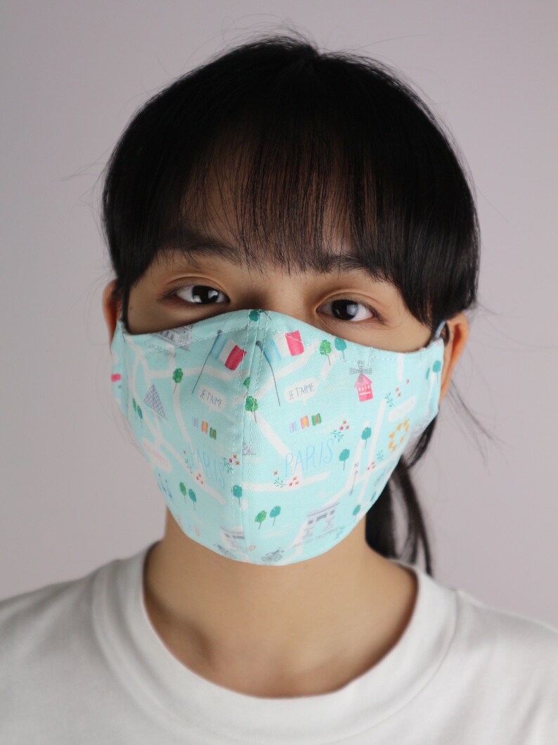 France face mask. Paris map fabric mask. Washable. With nose Etsy