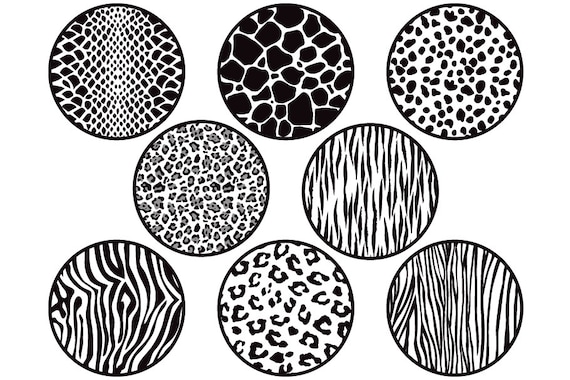 Wild Animal Print Circles Vector Set Stock Illustration - Download