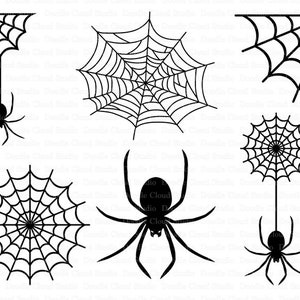 Spiders and Spider Web SVG files for Silhouette Cameo and Cricut. Clipart PNG Transparent included.