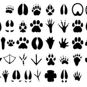 41 Stencil digitale di zampe di animali, Stencil di pacchetti di zampe di animali SVG, Stencil digitale di impronte di animali, Modelli di stencil digitali. Tracce di animali.