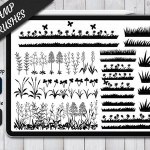 Grass Stamps Brushes for Procreate and Photoshop. Procreate Stamp and Brush. Photoshop Stamp and Brush. Tall Grass Stamps Brushes.Wild Grass