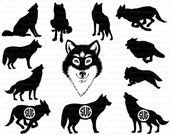 Il_170x135