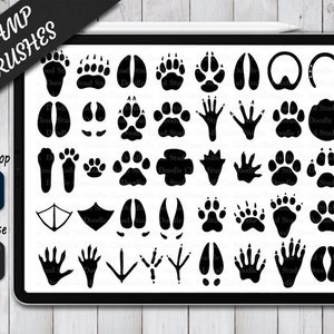 Animal Paw Stamps Brushes for Procreate and Photoshop. Procreate Stamp and Brush. Photoshop Stamp and Brush. Animal Tracks Stamps Brushes.