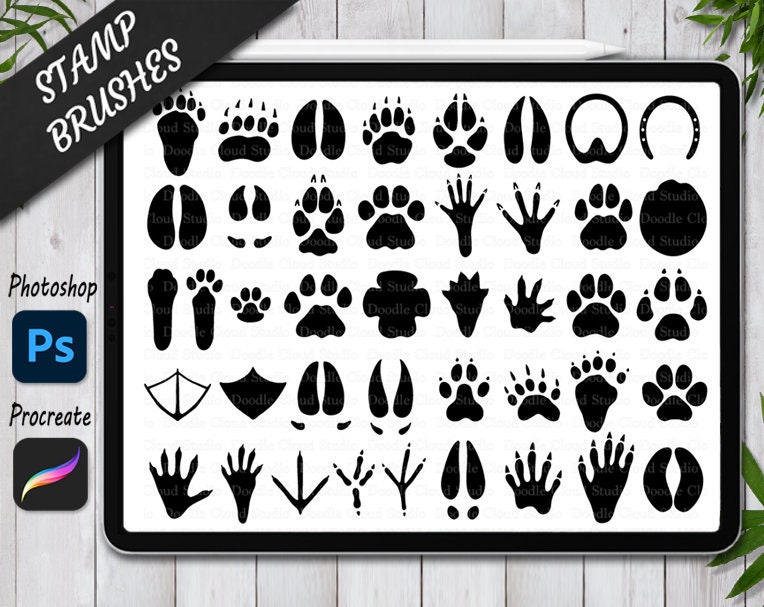 Animal Paw Stamps Brushes for Procreate and Photoshop. Procreate Stamp ...