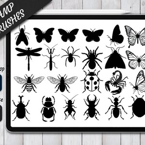 May include: A set of 20 black and white insect stamp brushes for digital art. The brushes include a dragonfly, butterfly, moth, spider, beetle, scorpion, and more. The brushes are designed for use in Photoshop and Procreate.