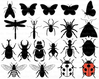 昆虫SVG、SilhouetteとCricut用の昆虫バンドルSVGファイル。昆虫