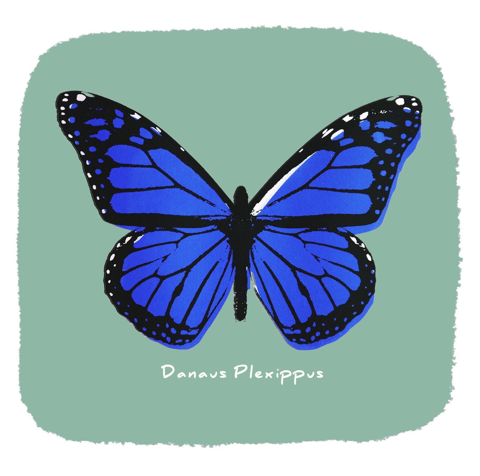 Butterfly Wall Art | Etsy