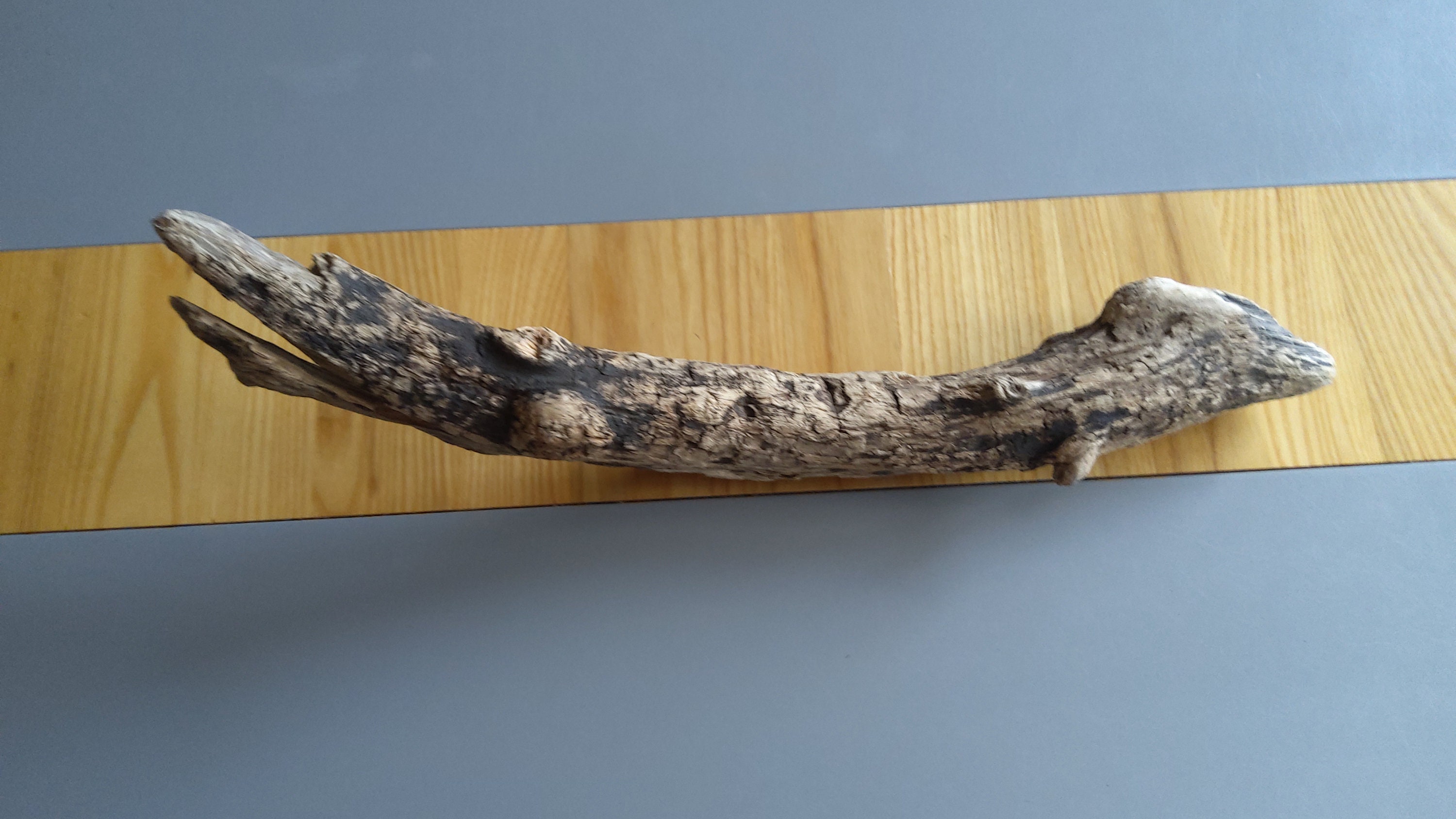 Treibholz lang 1 Stück 20 51 cm Wandbügel DIY Kunst | Etsy