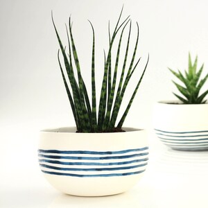 Puede incluir: Dos macetas de cerámica blanca con diseños de rayas azules. La maceta de la izquierda tiene una planta suculenta verde con hojas largas y delgadas. La maceta de la derecha tiene una planta suculenta verde con hojas cortas y puntiagudas.