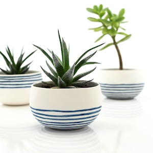 Maceta minimalista de porcelana colorida. Cactus de cerámica hecho a mano. Maceta geométrica para plantas aéreas. Diseño de cuenco de cerámica para servir en bodas por CONCEPTstudio.