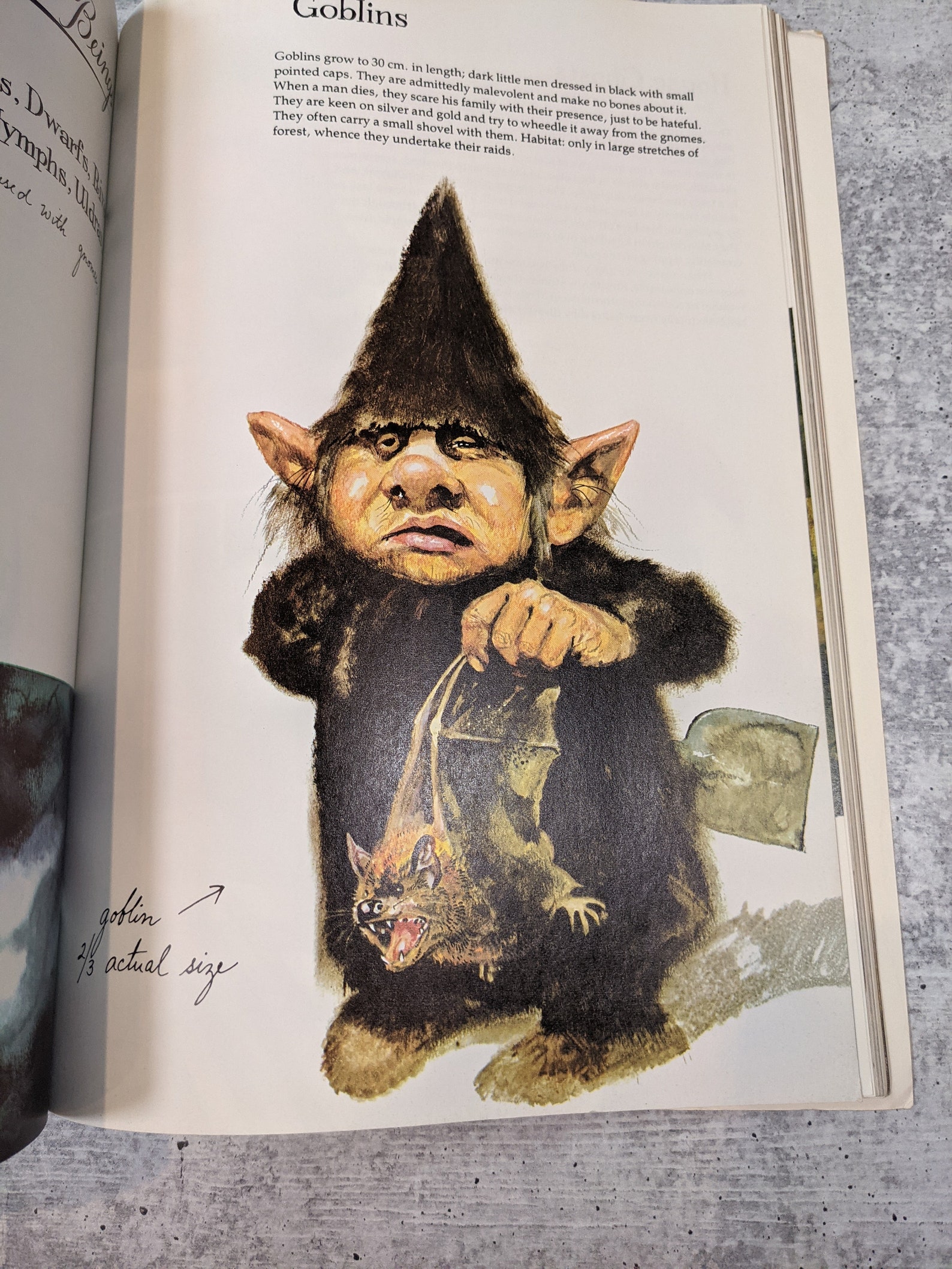 wil huygen books wil huygen books
