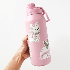 Wasserflaschen Sticker / Französische Bulldogge Sticker / Wasserfester Aufkleber für Hydroflaken / Handyhülle / Lustiger Hund Sticker / Ermutigung Sticker