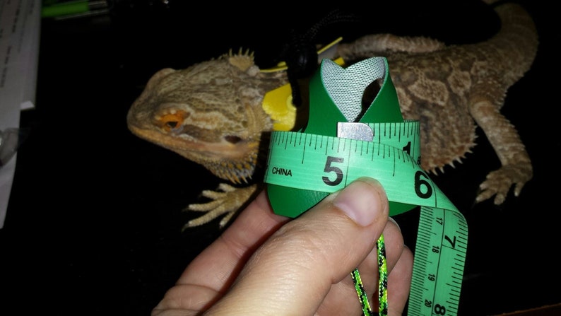 Small Lizard Leash Harness