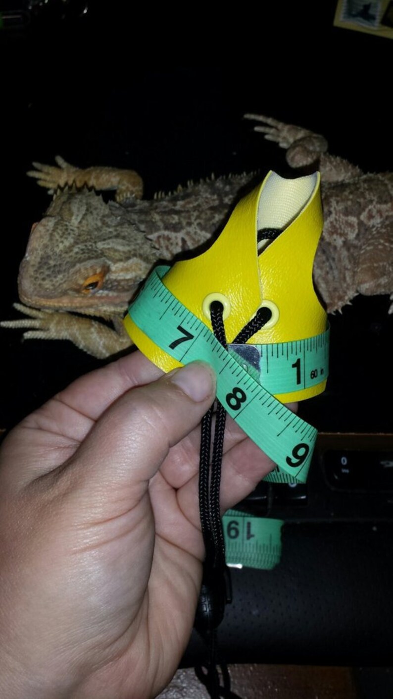 Medium Lizard Leash Harness
