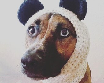 The Panda