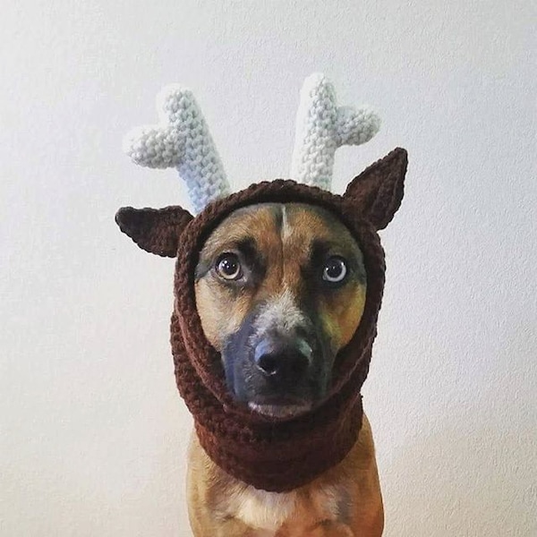 The Reindeer