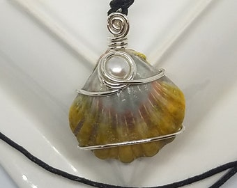 Hawaiian Sunrise Shell ~ Sunrise Shell necklace ~ Sunrise shell wire wrap ~ Mermaid necklace ~ Water witch charm ~ Hand made in Hawaii