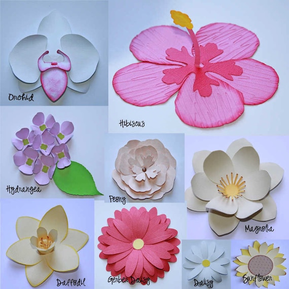 Download 3D Flowers Vector Art SVG Files with Commercial License | Etsy