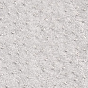 May include: White ostrich leather with a textured, pebbled surface.