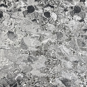 Silver | Black Giselle Multicolor Floral Sequins Couture Fabric - Sold By The Yard