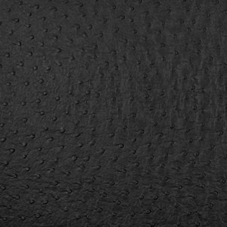 May include: Black ostrich leather with a textured pattern.