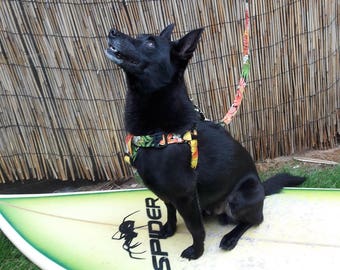 May include: A black dog wearing a floral harness and leash sits on a surfboard. The surfboard is white and green with the word "SPIDER" and a spider graphic. The background is a bamboo fence.