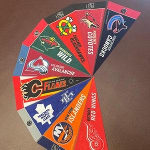 Nine NHL small pennants
