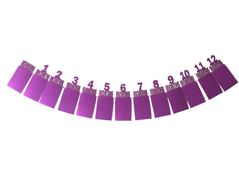 May include: Purple felt banner with 12 numbered tags, each with the word "months" printed on it. The banner is strung together with a white string.