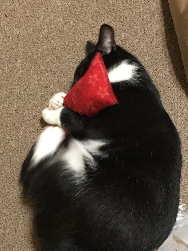 May include: A black and white cat curled into a ball, holding a small, triangular red toy featuring a subtle embossed star pattern. The cat has white fur on its paws and chest, contrasting with its black coat, while clutching the red object.