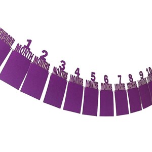 May include: Purple felt banner with 12 cards for a baby's monthly milestones. The cards are numbered 1 through 12 and say "months". The first card says "newborn".