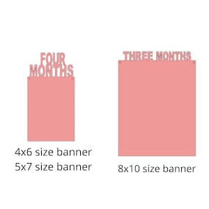 May include: Two pink banners with the text "FOUR MONTHS" and "THREE MONTHS" printed on them. The banner on the left is a 4x6 size banner and the banner on the right is an 8x10 size banner.