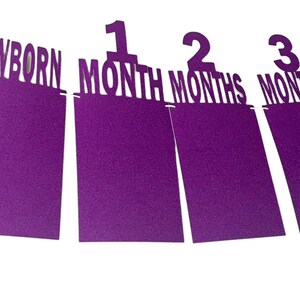 May include: Purple felt banner with the words "NEWBORN", "1 MONTH", "2 MONTHS", and "3 MONTHS" in white. The banner is designed for a baby's monthly milestone photos.