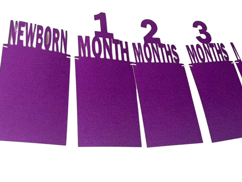 May include: Purple felt banner with the words "NEWBORN", "1 MONTH", "2 MONTHS", and "3 MONTHS" in white. The banner is designed for a baby's monthly milestone photos.