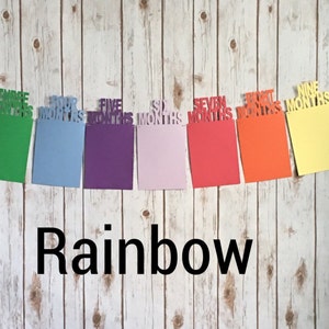 May include: Rainbow colored monthly milestone banner with the words "One Month", "Two Months", "Three Months", "Four Months", "Five Months", "Six Months", "Seven Months", "Eight Months", "Nine Months", "Ten Months", "Eleven Months", and "Twelve Months".
