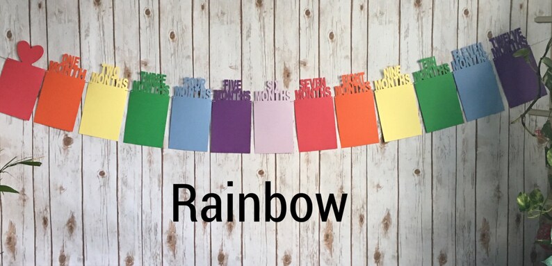 May include: Rainbow colored monthly milestone banner with the words "One Month", "Two Months", "Three Months", "Four Months", "Five Months", "Six Months", "Seven Months", "Eight Months", "Nine Months", "Ten Months", "Eleven Months", and "Twelve Months".