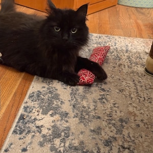 May include: A long-haired black cat with green eyes lying down and resting its front paws on a rectangular toy featuring a red and white paisley bandana pattern. The cat is positioned on a patterned rug with blue and gray distressed details.