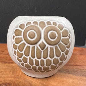 May include: A ceramic owl-shaped vase with a cream-colored base and brown detailing. The owl's face is prominently displayed, featuring large, round eyes and a textured pattern. The vase has a rounded shape and a wide opening, suitable for holding flowers or other decorative items.