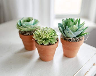 May include: Three small terracotta pots with green and blue artificial succulents. The pots are arranged on a white surface.
